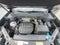 2024 Volkswagen Atlas 2.0T Peak Edition SE w/Technology