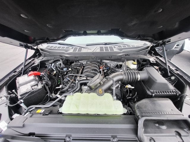 2026 Ford F-150 XLT Tsport Anthem