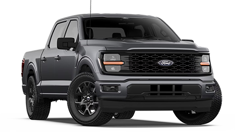 Mike Reichenbach Ford in Florence SC