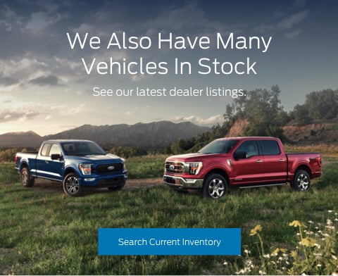 Ford vehicles in stock | Mike Reichenbach Ford in Florence SC