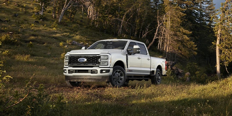 
White Ford Super Duty truck on a sunny, wooded trail.