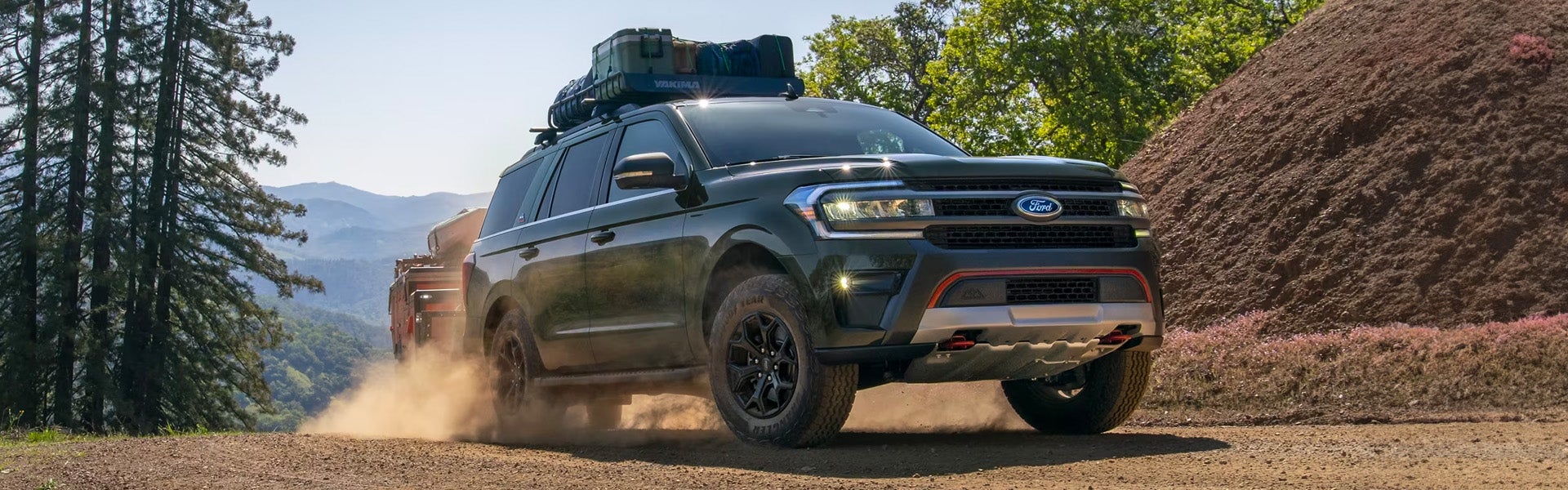 2025 Ford Expedition | Mike Reichenbach Ford | Florence, SC