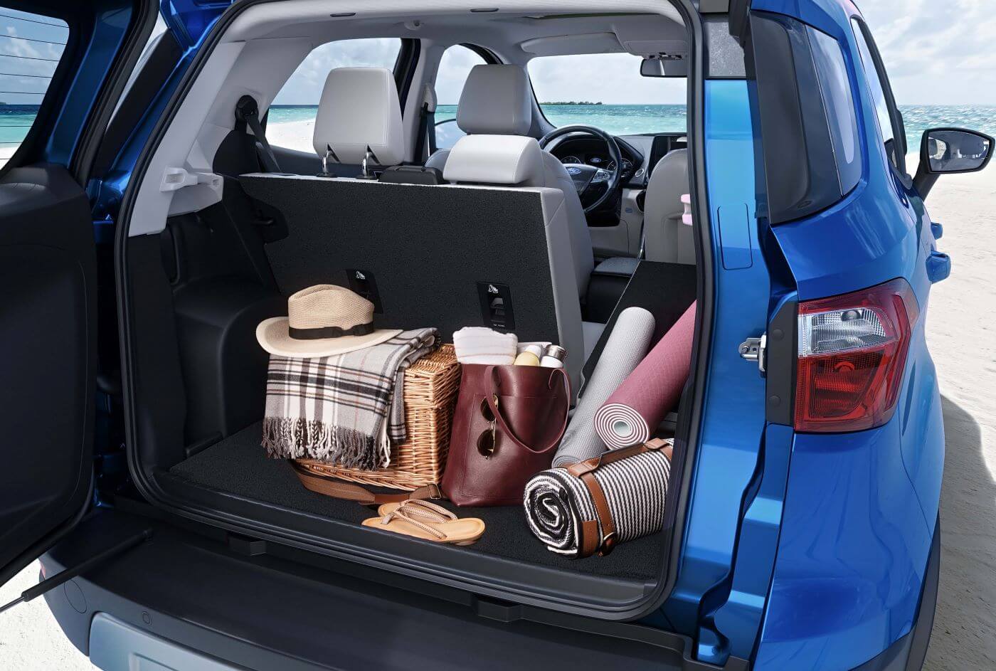 2021 Ford EcoSport Cargo
