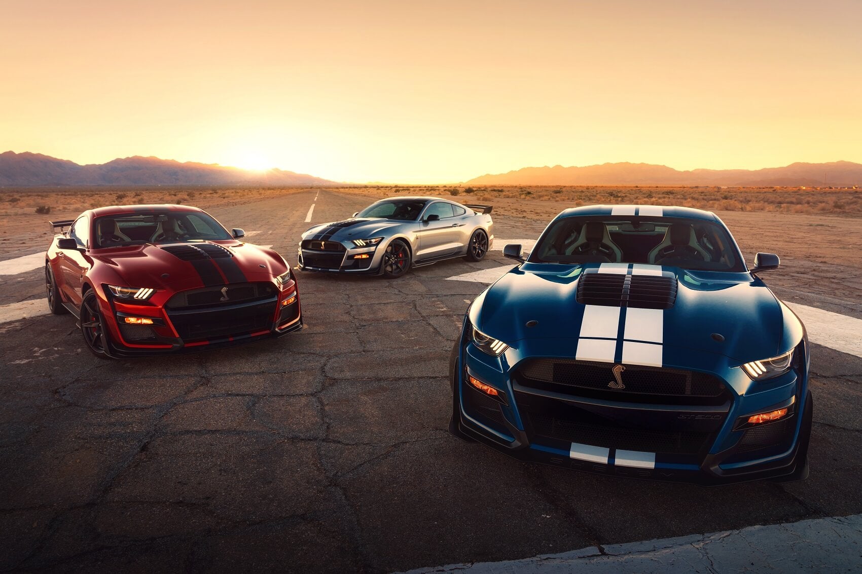 Ford Mustang Family