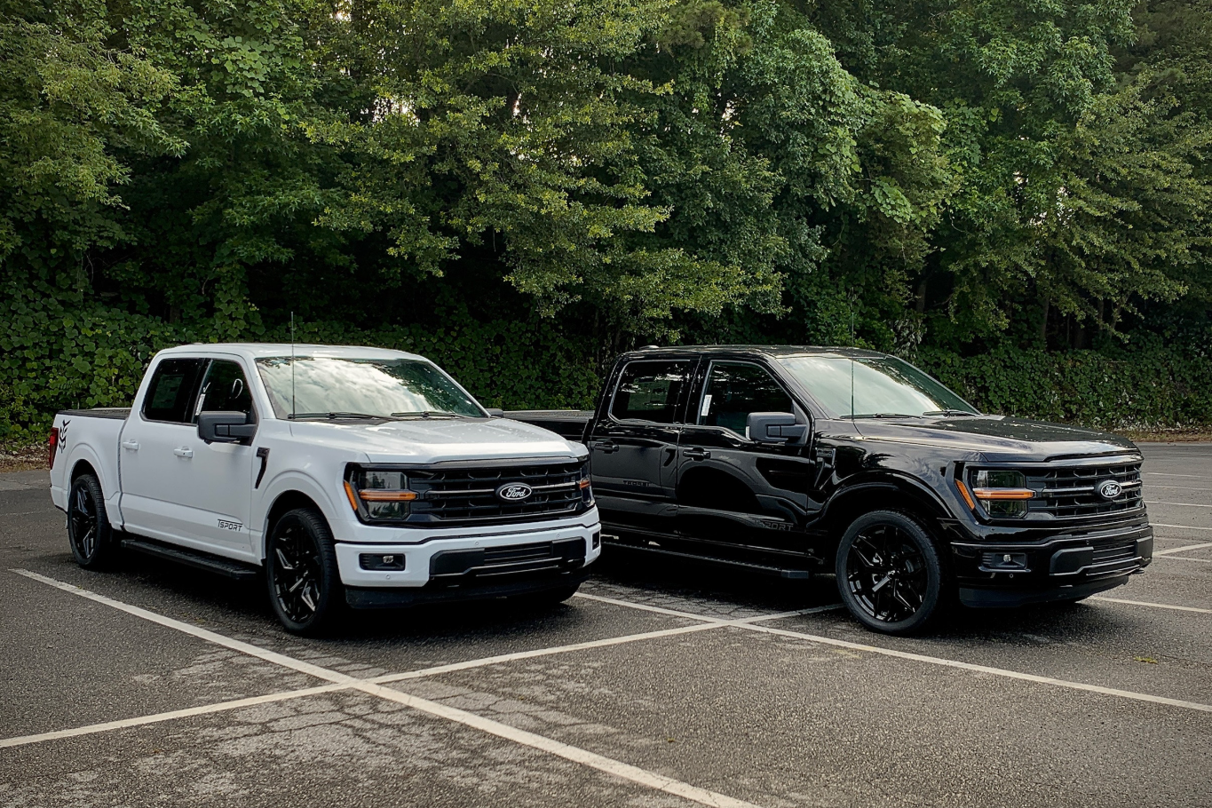 Ford F150 4x4 Sport Truck TSport Package